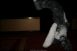 IMG_9738.jpg