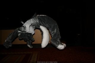 IMG_9739.jpg