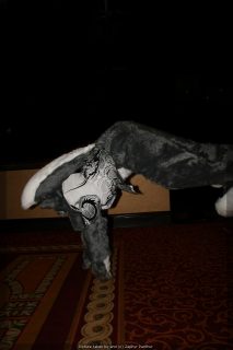 IMG_9741.jpg