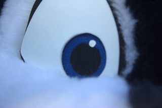 IMG_4089.png