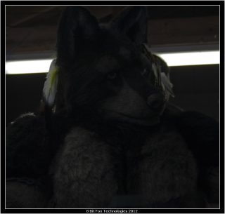 IMG_2913.jpg