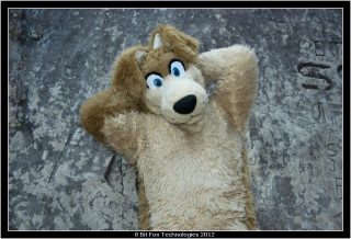 IMG_3365.jpg