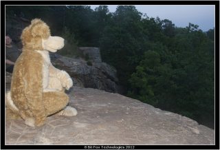 IMG_3411.jpg