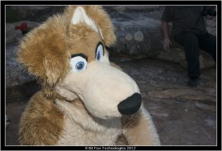 IMG_3412.jpg