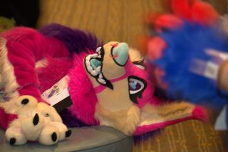 IMG_0637.png