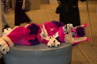 IMG_0639.png