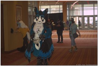 IMG_1511.png