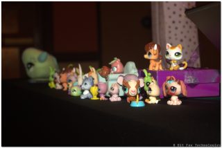 IMG_1617.png