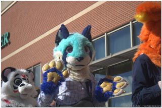 IMG_1781.png