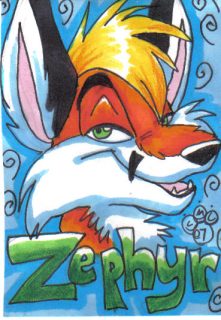 2007_07_06-Lucky Coyote.jpg