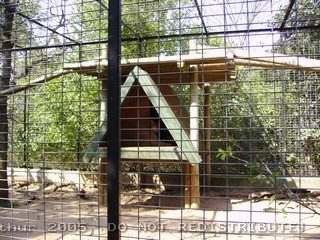 PICT0004.jpg