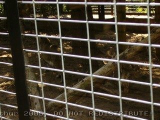 PICT0009.jpg