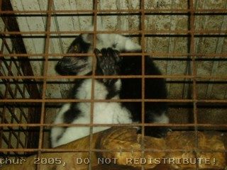 PICT0012.jpg