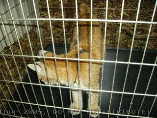 PICT0014.jpg
