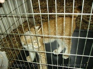 PICT0015.jpg