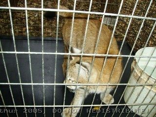 PICT0016.jpg