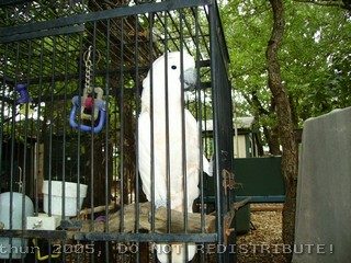 PICT0019.jpg