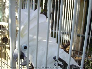 PICT0039.jpg