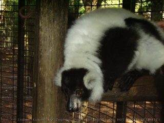 PICT0052.jpg