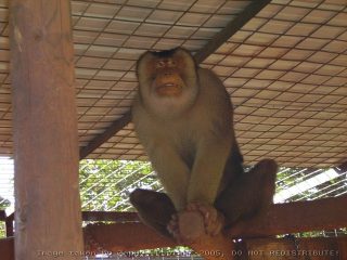 PICT0056.jpg
