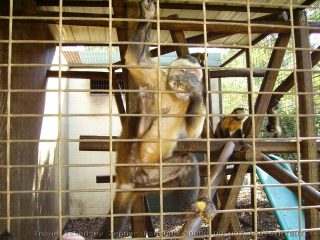 PICT0057.jpg