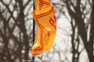 IMG_3343.jpg