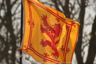 IMG_3346.jpg