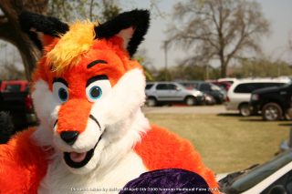 IMG_3366.jpg