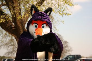 IMG_3367.jpg