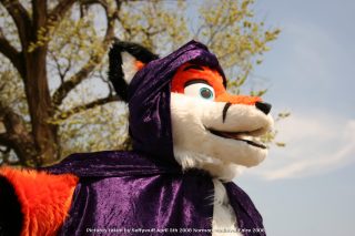 IMG_3370.jpg