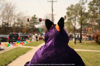 IMG_3373.jpg