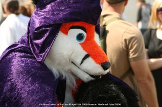 IMG_3406.jpg