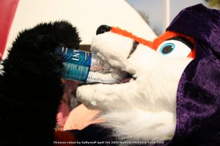 IMG_3409.jpg