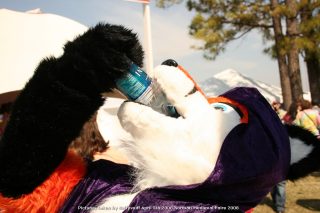 IMG_3412.jpg