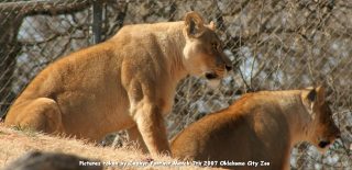 IMG_2484.jpg