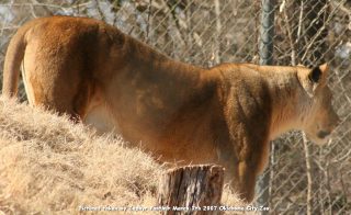 IMG_2493.jpg