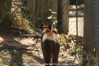 IMG_2666.jpg