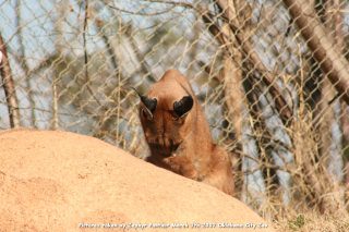 IMG_2689.jpg