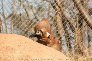 IMG_2690.jpg