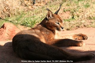IMG_2729.jpg
