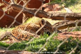 IMG_2739.jpg
