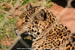 IMG_2745.jpg