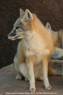 IMG_2749.jpg