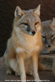 IMG_2750.jpg