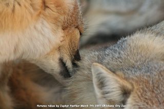 IMG_2754.jpg