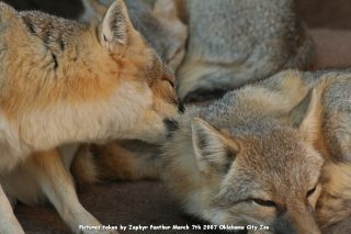 IMG_2755.jpg