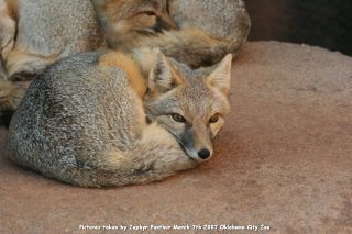 IMG_2764.jpg