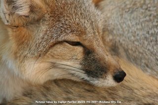 IMG_2770.jpg