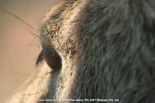 IMG_2782.jpg