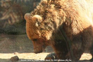 IMG_2787.jpg